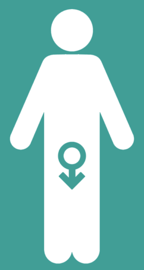 Impotencia masculina y un aumento en un miembro